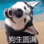 狗子你觉得我帅吗