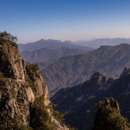 你在说什么东西啊