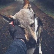 啁粥粥粥粥粥粥粥粥粥