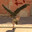 KyuSaki