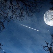NigHerPoke