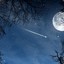 NigHerPoke
