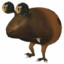 Username