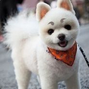 我躺好了，你们表演