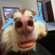 这是为什么呢？