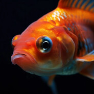 Special Goldfish