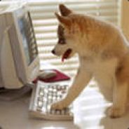 Flashrun - steam id 76561198046262478