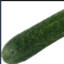 MC_cucumber