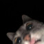 //Dink