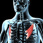 Pectoralis minor