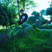 [GrGr]Marcel_B_a_u_e_r