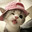 Anix