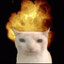 catexplode