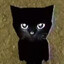 Avatar of Ethical Lune