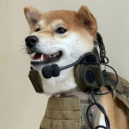 你滴知心大哥哥