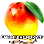 Котакбасина