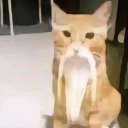 名字真的不重要的吧？