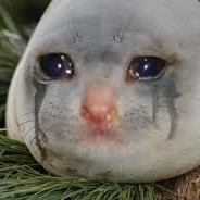 PearDrew