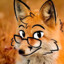 Mr Fox