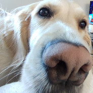 Wallace109 - steam id 76561198255247455