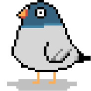 鸽子不会饿肚子