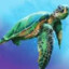 Caretta Caretta