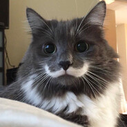 enjoyer - steam id 76561199188642831