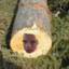 han fuskaj