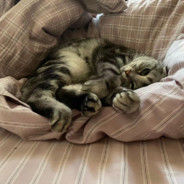 啊这我不是人傻了