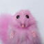 Pink Hamster