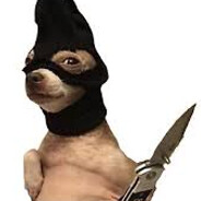 doggo