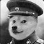 Commissar Doge