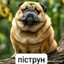 ДИКИЙ ВОВКУЛАКА