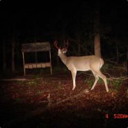 BumZ - steam id 76561197961403625