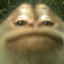 Onttis