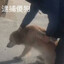 戒骄戒躁2