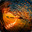 waveidz avatar