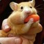 fat hamster