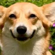 瞧你一脸傻吊样