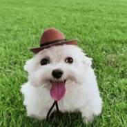 Joe Dog