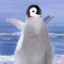 pinguin755