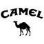 ☬✞CAMEL✞☬