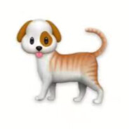 我咁靓仔我唔想死啊