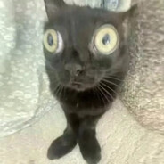 我是求生之路大王