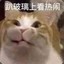 沙沙寨寨霸