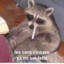 Raccoon