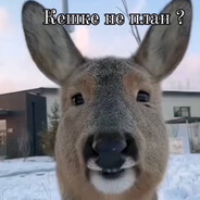 Keshke ne plan?