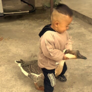 臣卜木曹的史蒂姆