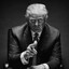 The Donald