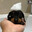 black cap on white background
